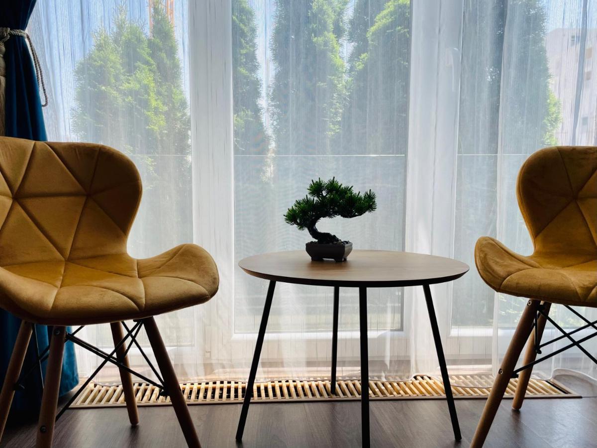 Aventurescu Studio Brasov Coresi Ngoại thất bức ảnh